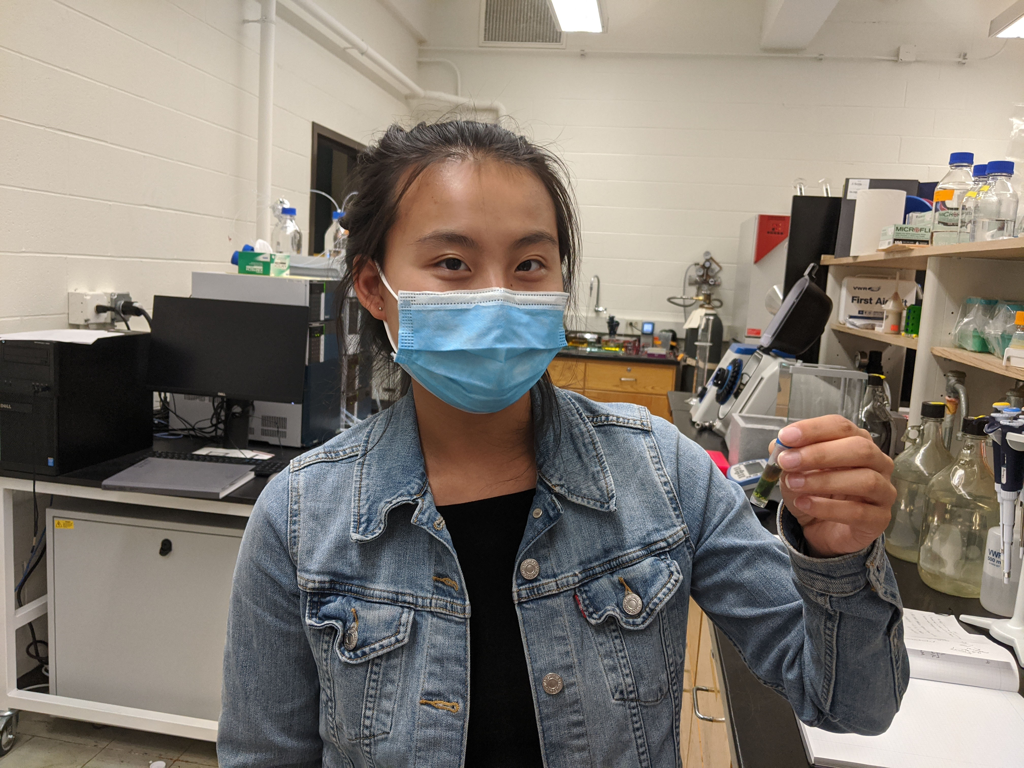 Photos The Borrego Lab