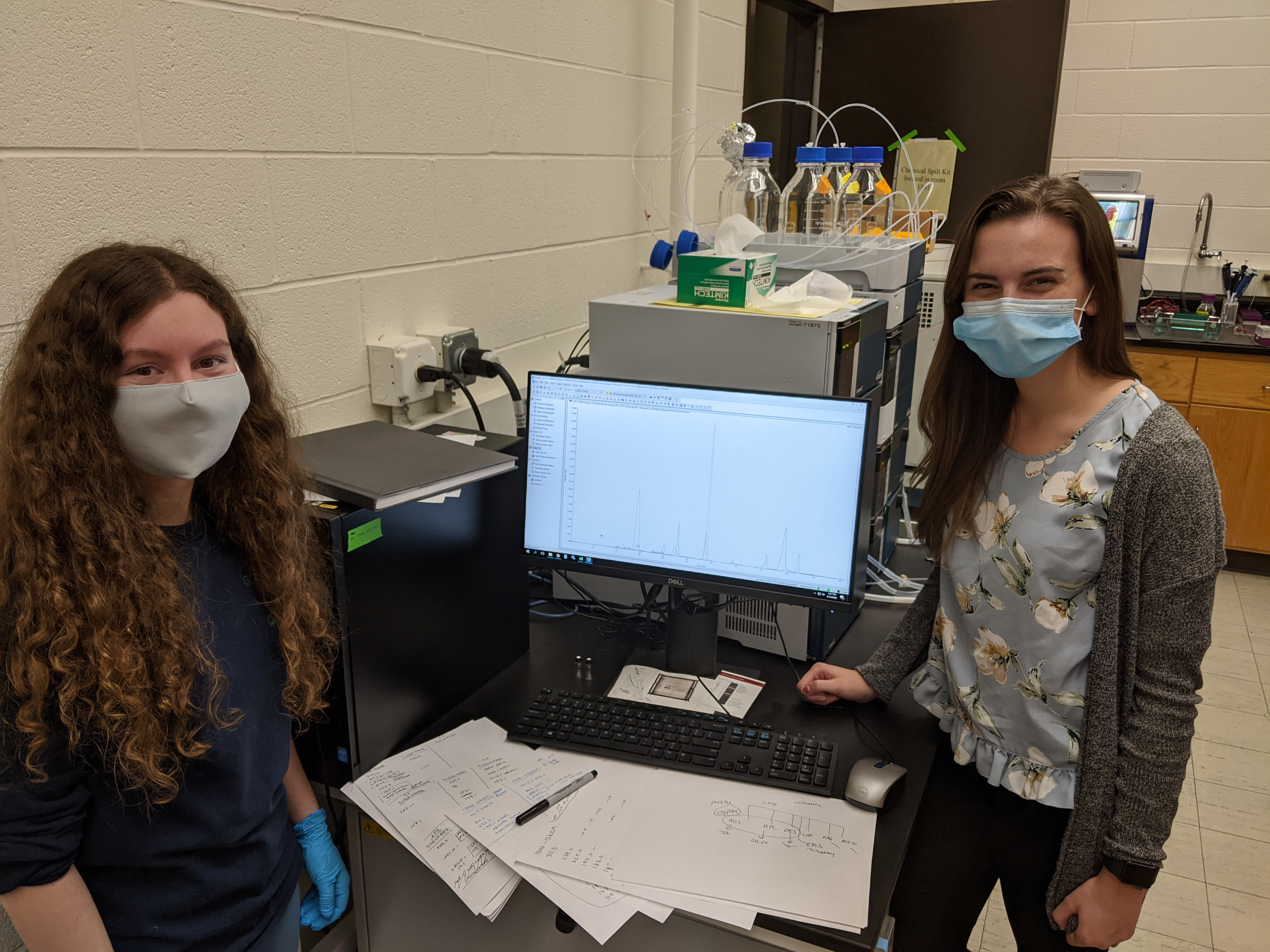 Photos The Borrego Lab